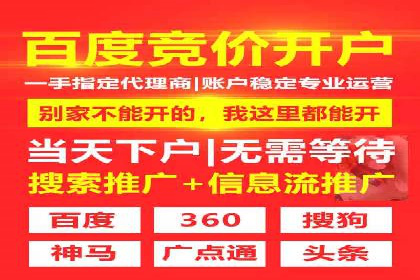 SEM服务公司成功案例解读